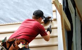 Best Custom Siding Design  in Lehigh Acres, FL